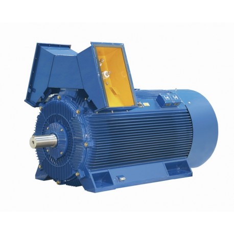 Medium voltage motors